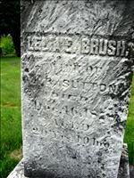 Sutton, LeliaE. (Brush)